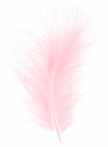 Feather marabou