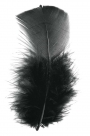 Feather turkey