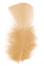 Feather turkey