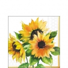 Girasoli