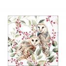 Barn owl couple