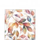 Colourful leaves