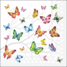 Colour butterflies