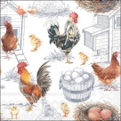 Chicken farm