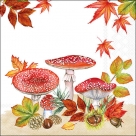 Fly agaric