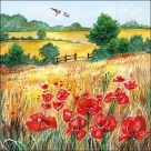Wheat fields