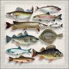 Fish variety
