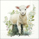 Lamb