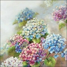 Hydrangea shades