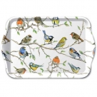 Birds meeting