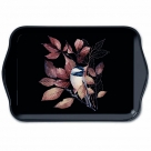 Chickadee black