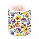 Lots of pansies