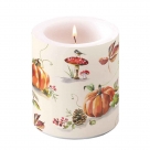 Autumn splendour