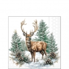 Winter stag