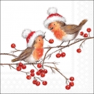 Xmas robins white