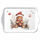 Teddy's gift