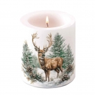Winter stag