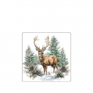 Winter stag white