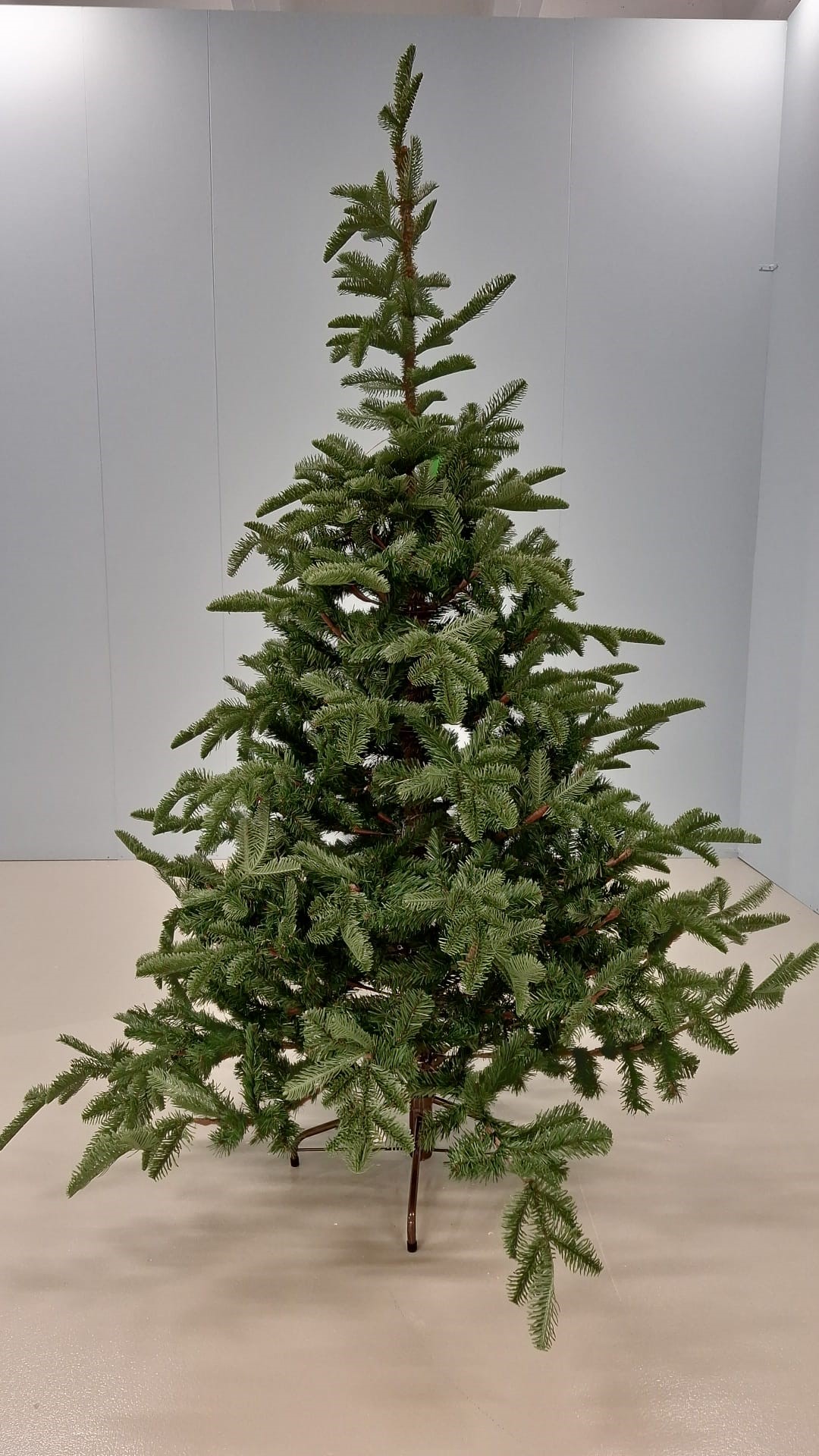 X-mas tree fraser
