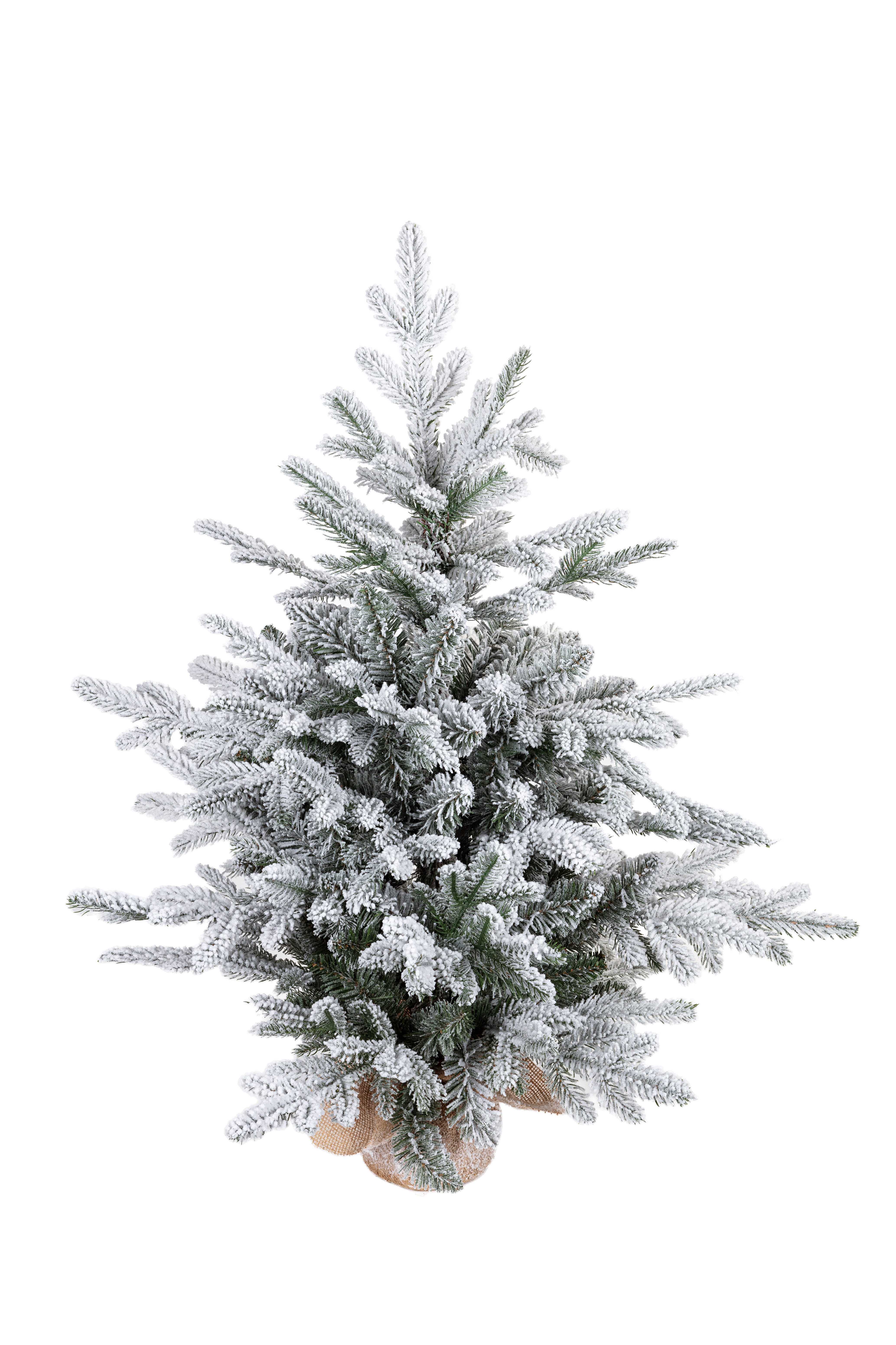 X-mas tree snowy