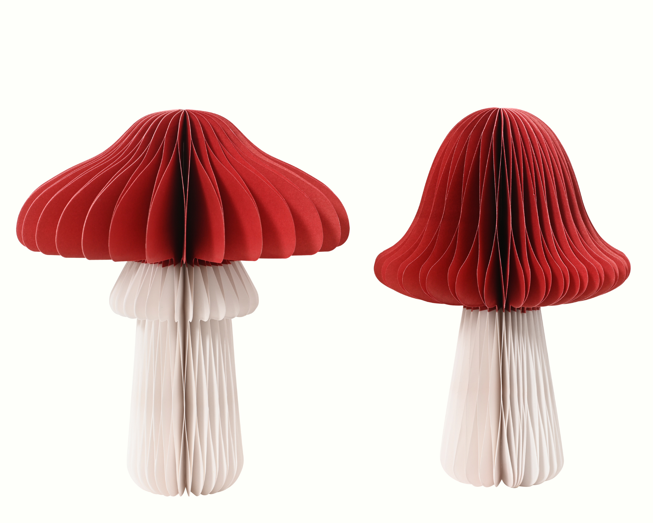 Mushroom paper ass.2