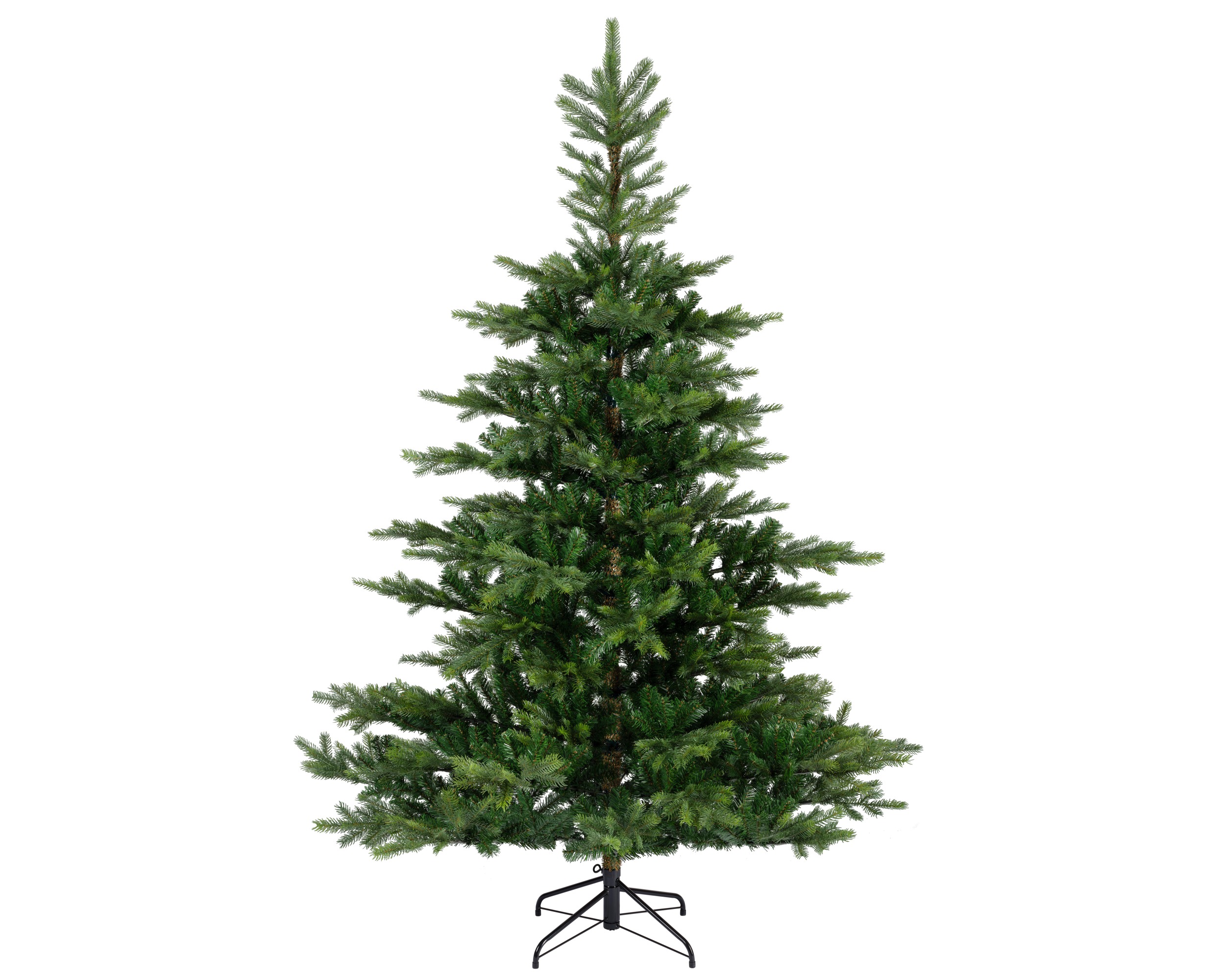 Xmas tree grandis