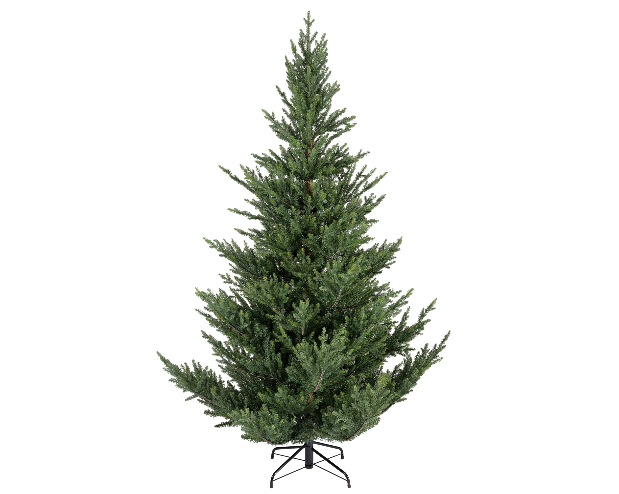 Tree norway spruce