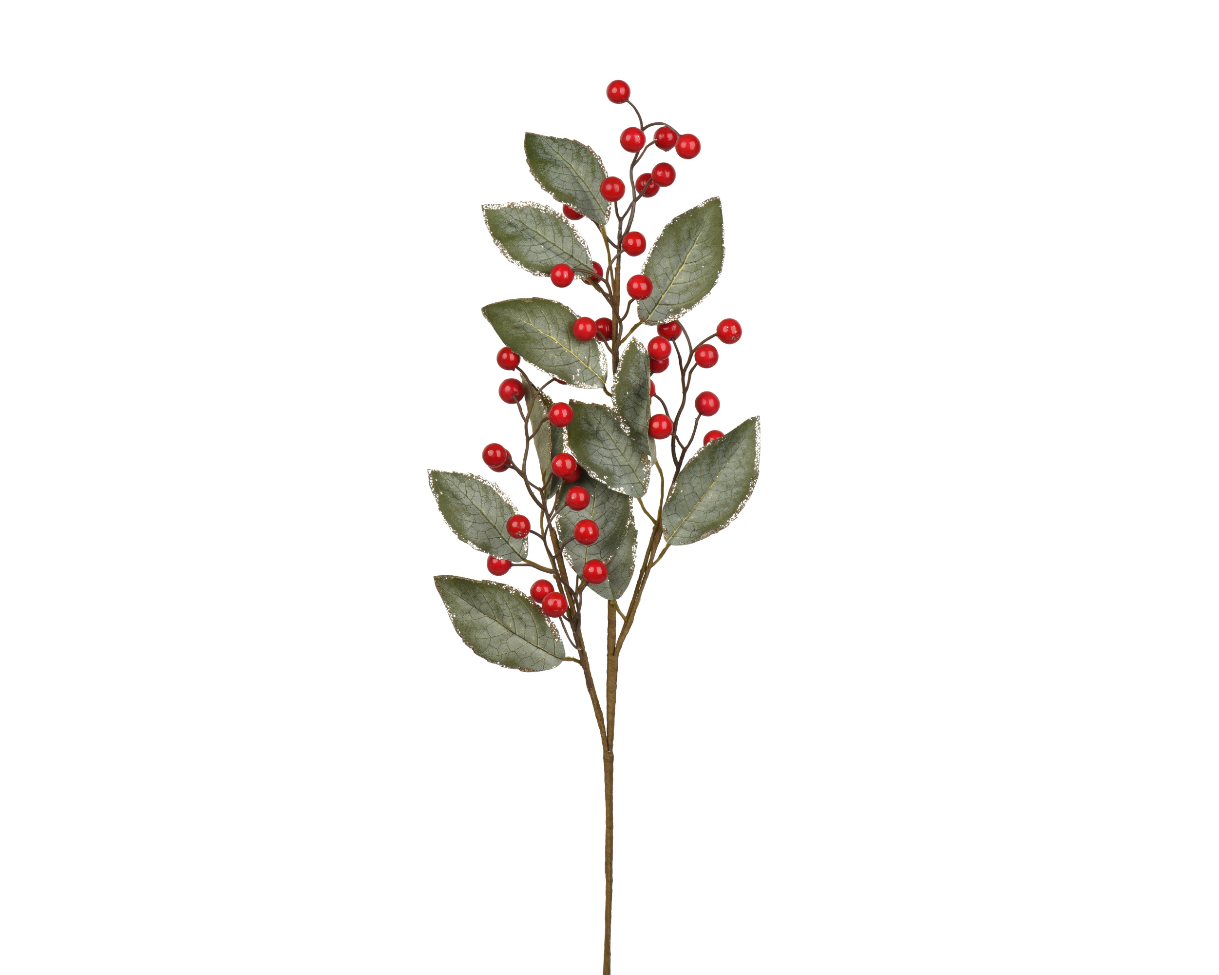 Spray lvs+berries