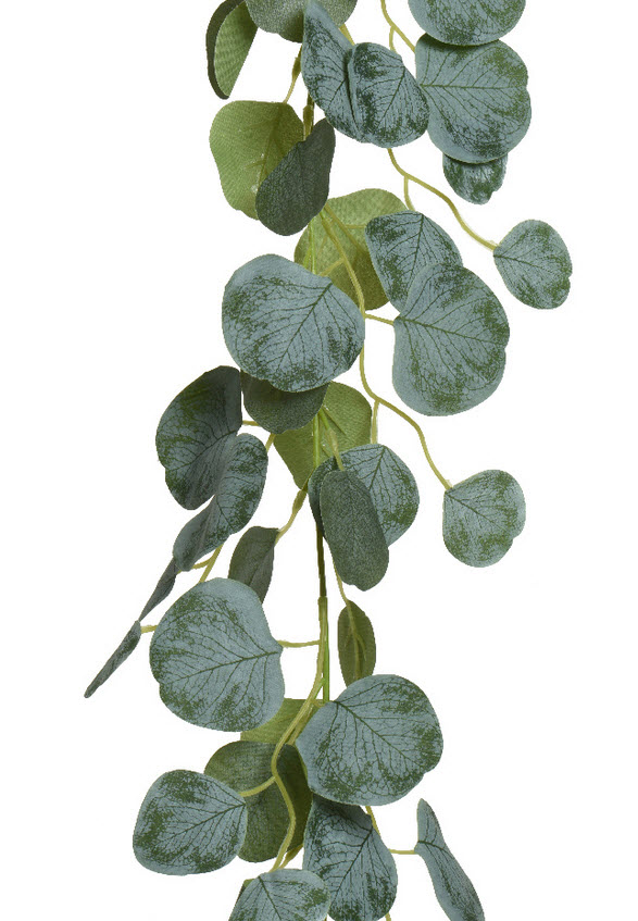 Eucalyptus slinger