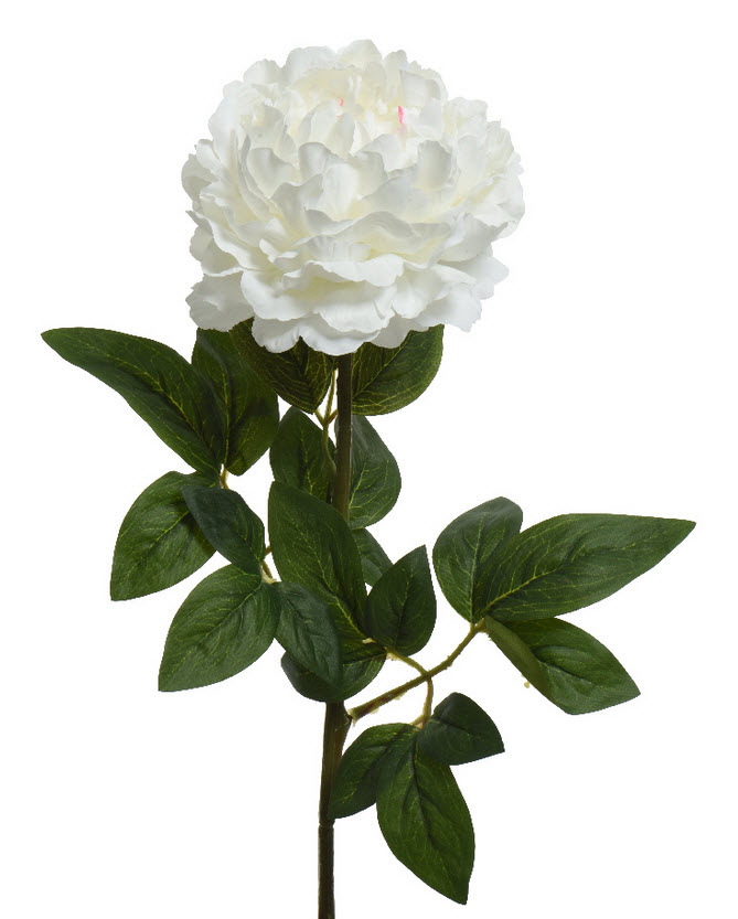 Peony spray