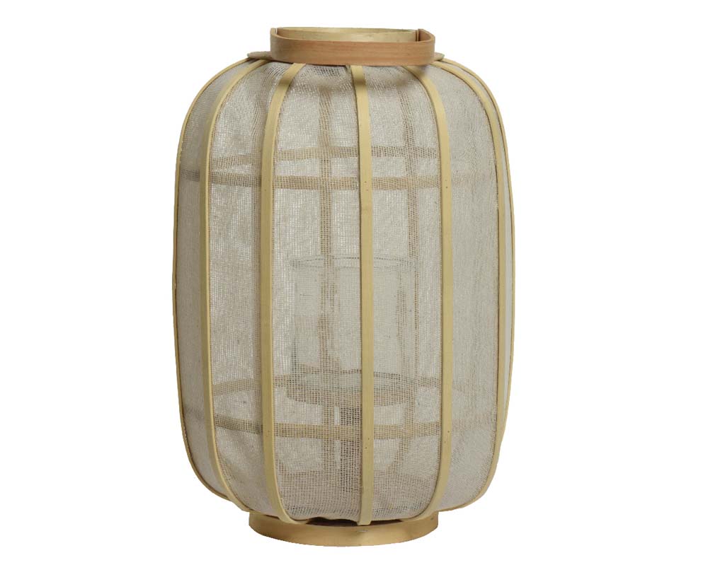 Lantern bamboo
