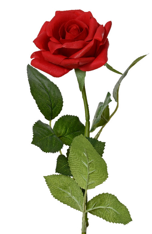 Rose spray