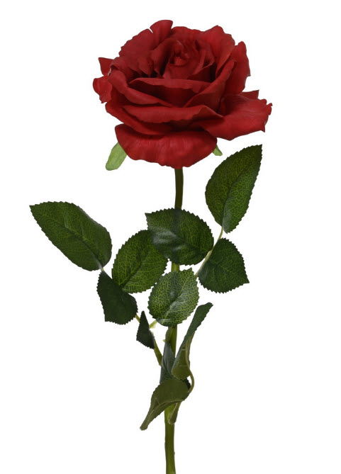 Rose spray