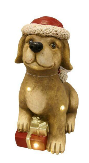 Dog w/hat led