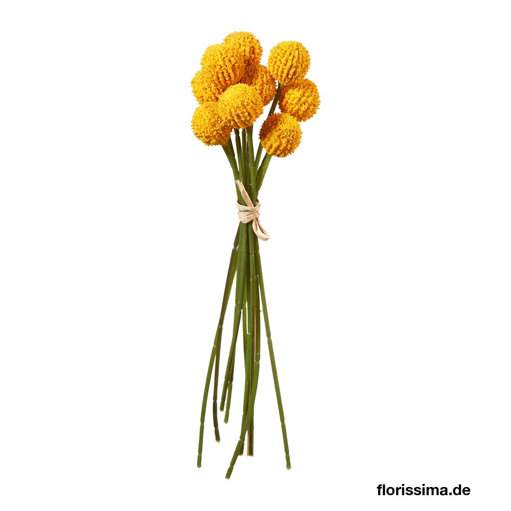 Mini allium bush