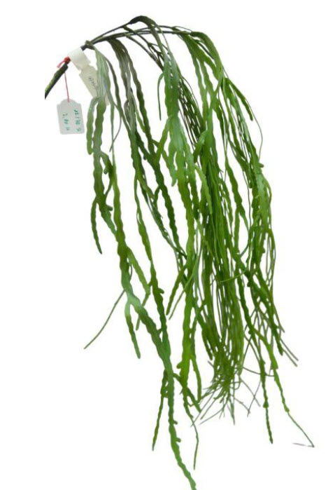 Grass hanger