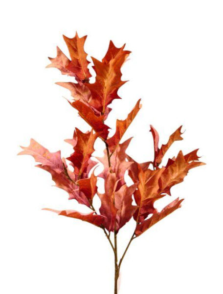 Oak leaf spray