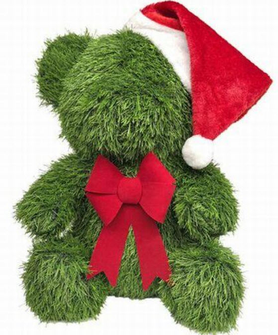 Xmas bear grass
