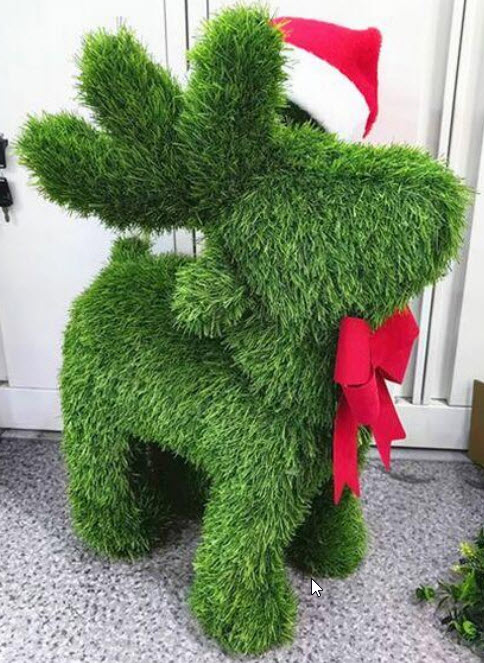 Xmas reindeer grass