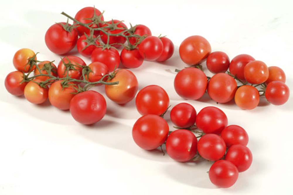 Truss tomato x6