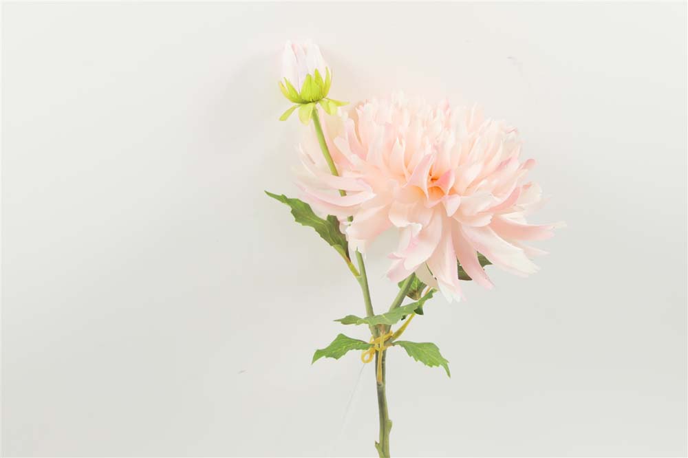 Dahlia spray x1