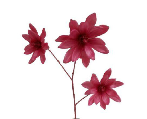 Magnolia spray x3