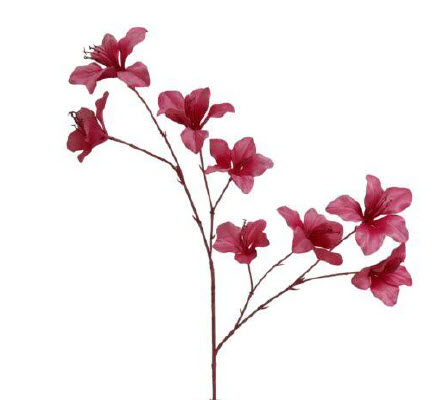 Bauhinia spray x3