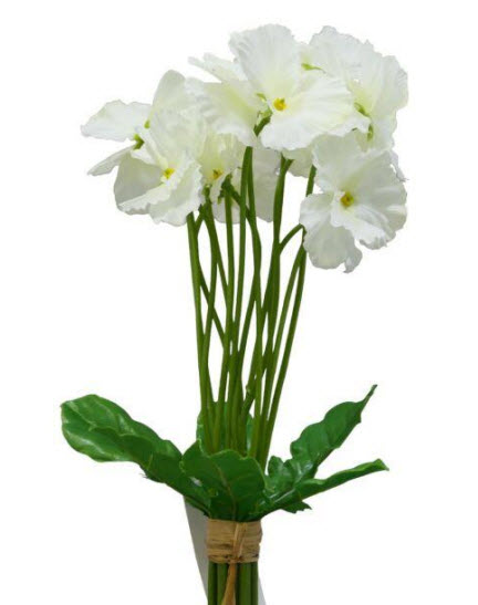 Pansy flower bd x7