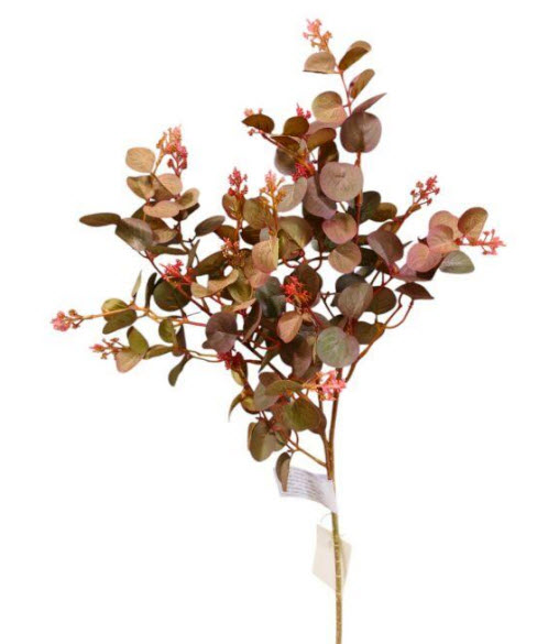 Eucalyptus spray