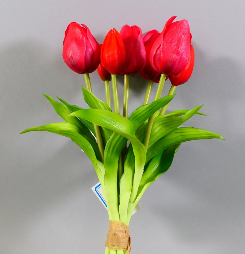 Tulip bundle x7