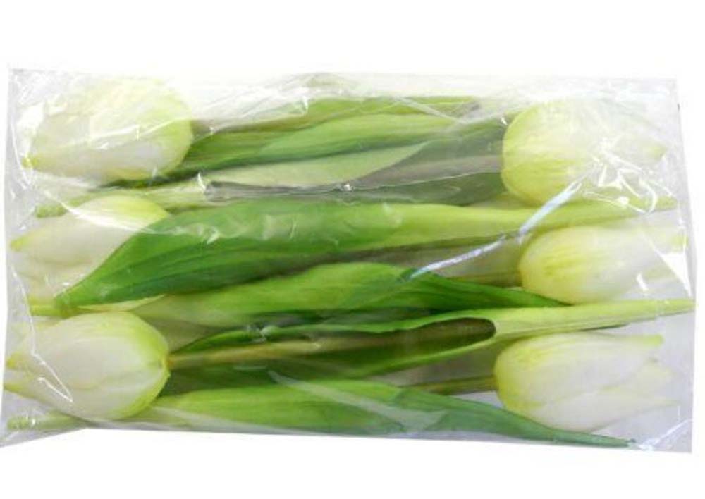 Tulip