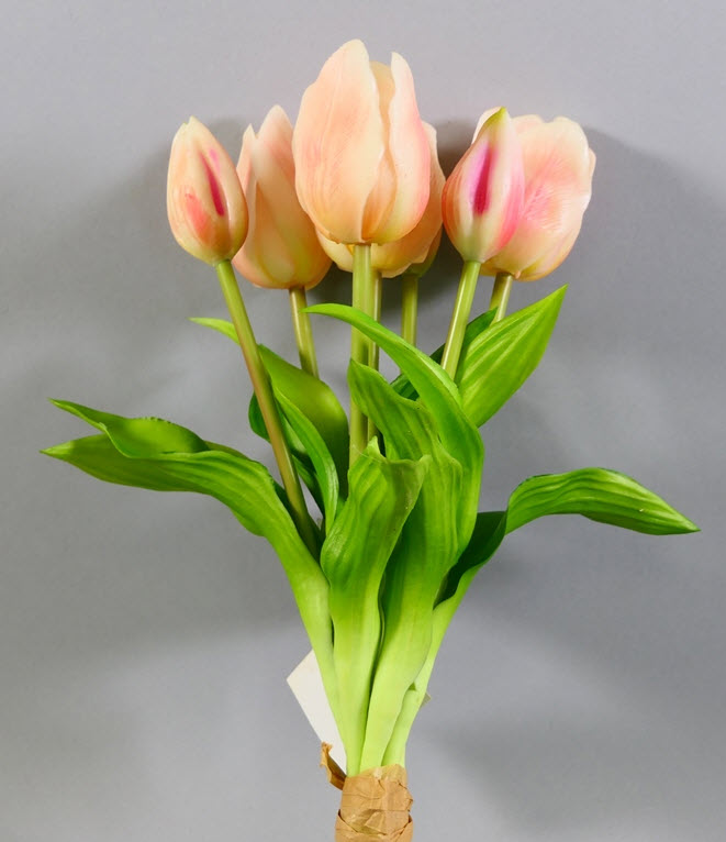 Tulip pick x4