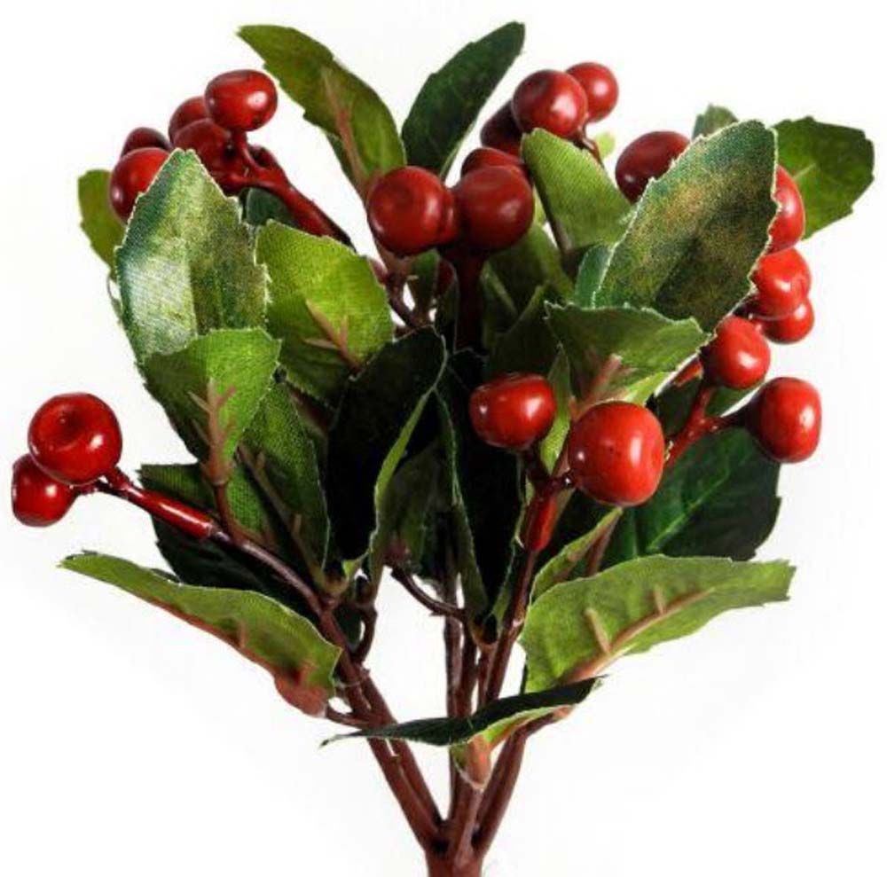 Gaultheria bush x7