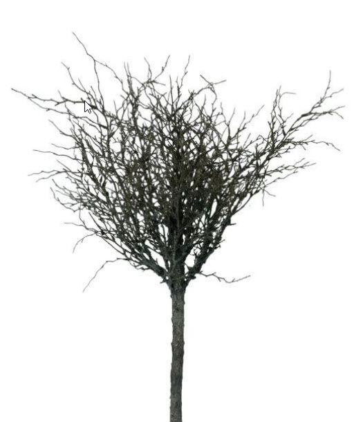 Twig branch